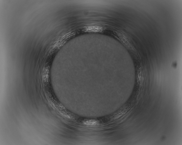 X0000116120551200912141048