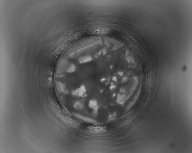 X0000116120553200912141048