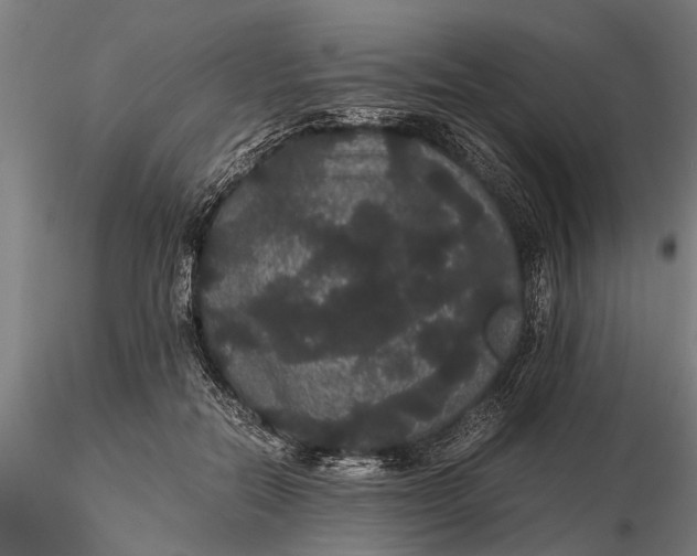 X0000116120554200912141048