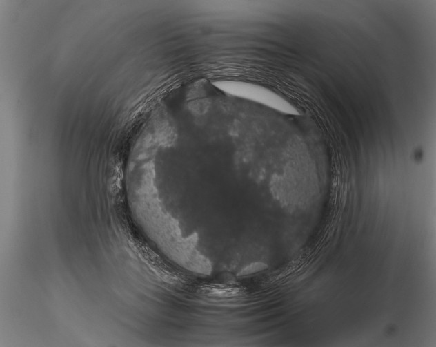 X0000116120555200912141048