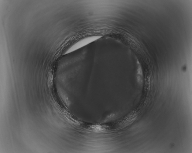 X0000116120558200912141048