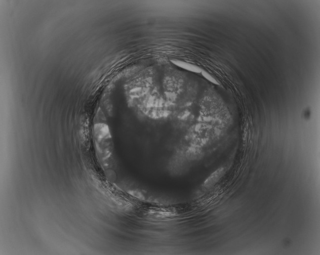 X0000116120559200912141048