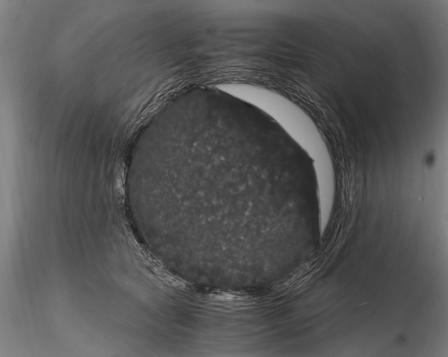 X0000116120561200912141048