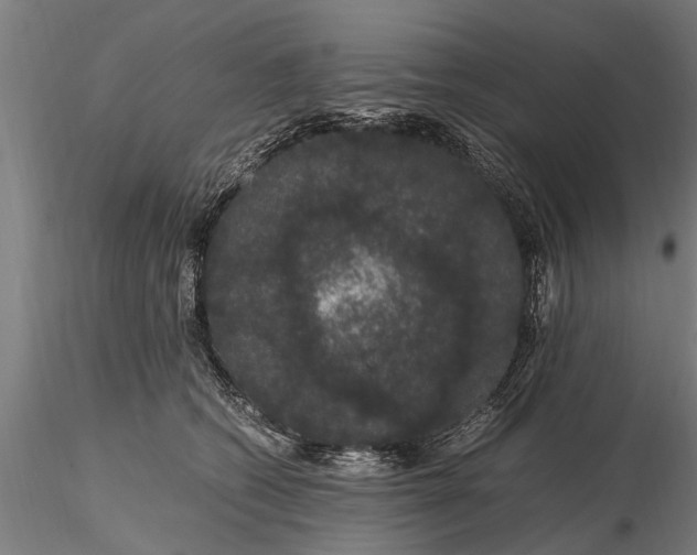 X0000116120562200912141048