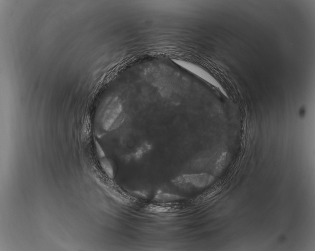 X0000116120563200912141048