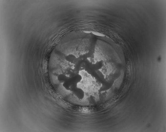 X0000116120565200912141048