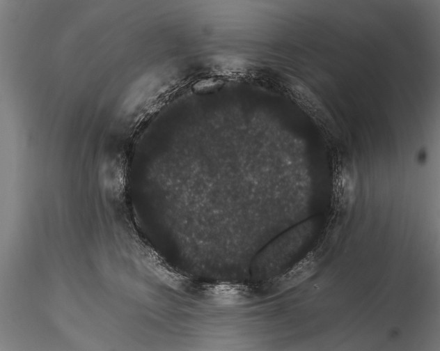 X0000116120566200912141048