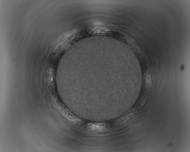 X0000116120567200912141048