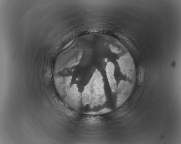 X0000116120569200912141048