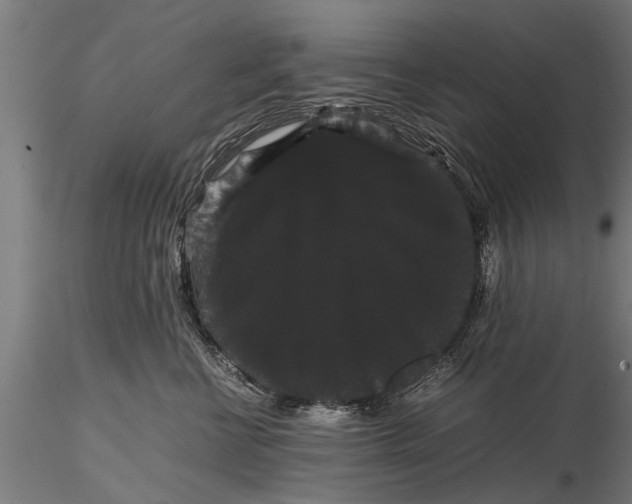 X0000116120570200912141048