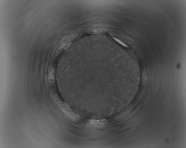 X0000116120571200912141048