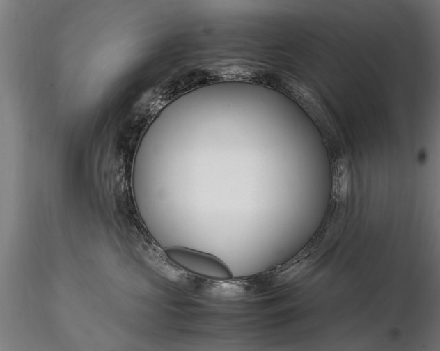 X0000116120573200912141048