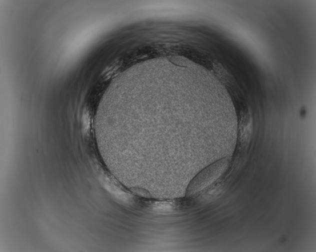 X0000116120574200912141048