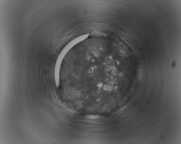 X0000116120575200912141048