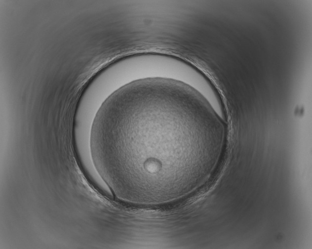 X0000116120577200912141047