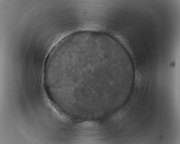 X0000116120578200912141047