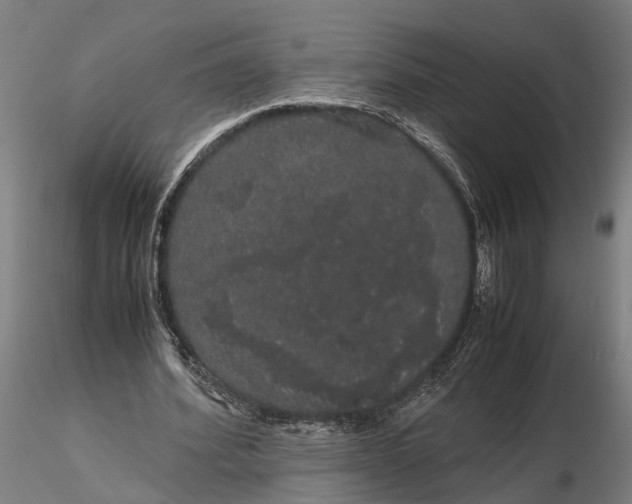 X0000116120580200912141047