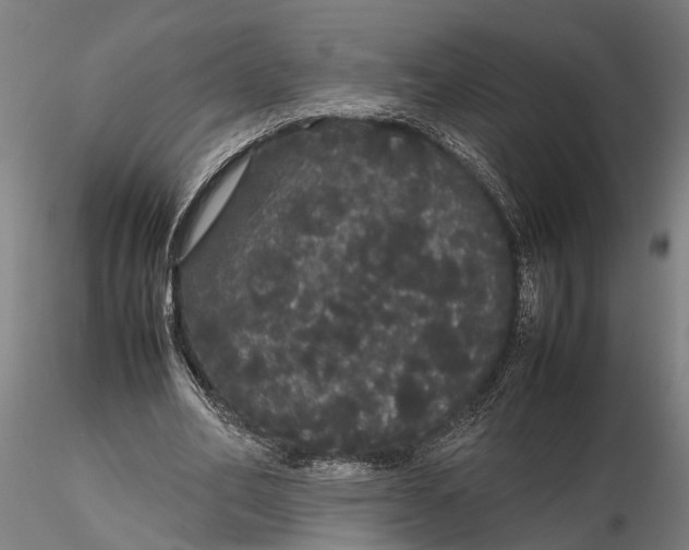 X0000116120582200912141047