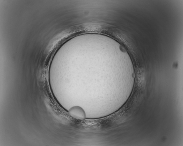 X0000116120583200912141047