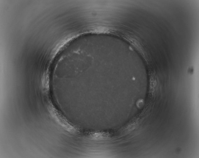 X0000116120584200912141047