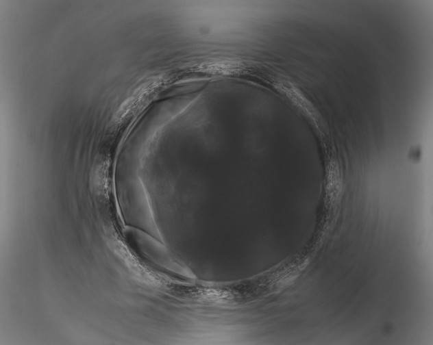 X0000116120585200912141047