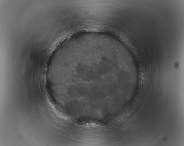 X0000116120586200912141047