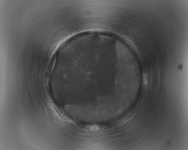 X0000116120588200912141047