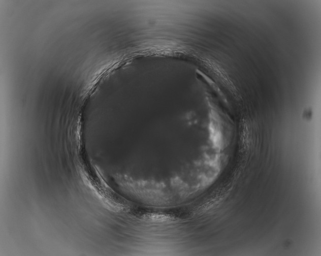 X0000116120590200912141047