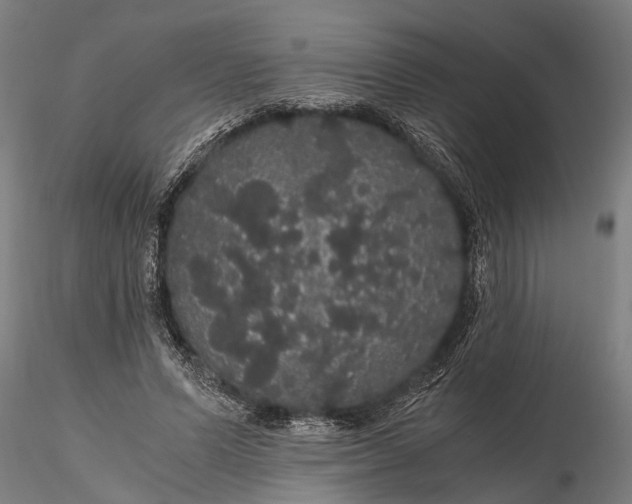 X0000116120591200912141047