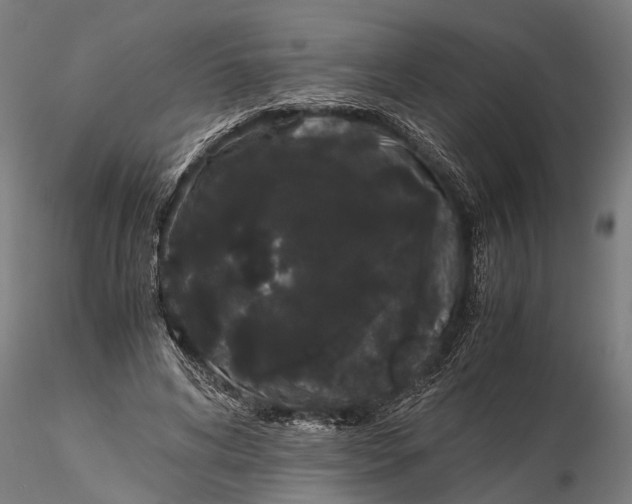 X0000116120592200912141047