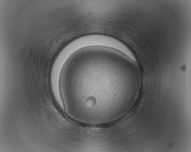 X0000116120593200912141047