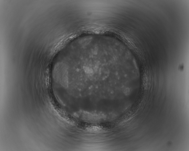 X0000116120594200912141047