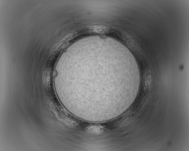 X0000116120595200912141047