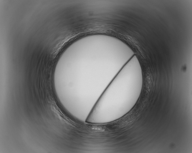 X0000116120596200912141047