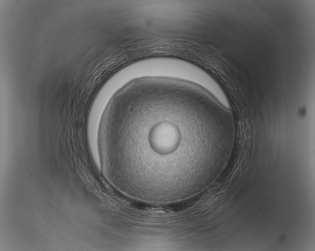 X0000116120597200912141047