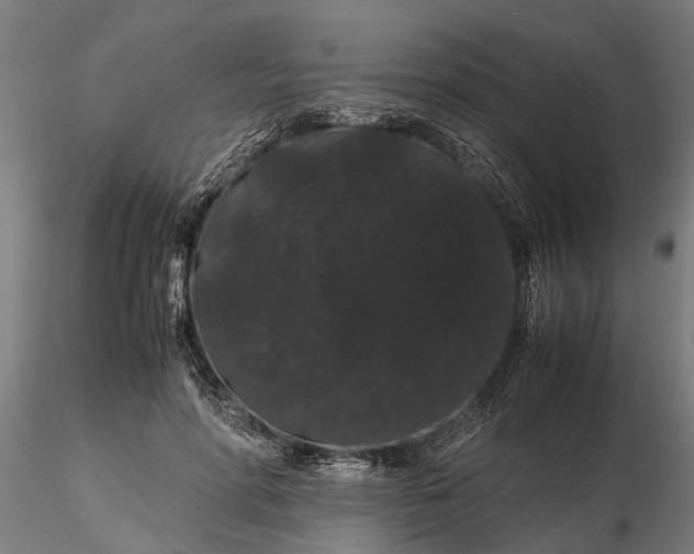 X0000116120598200912141047