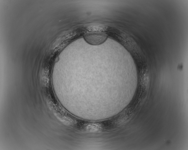 X0000116120599200912141047