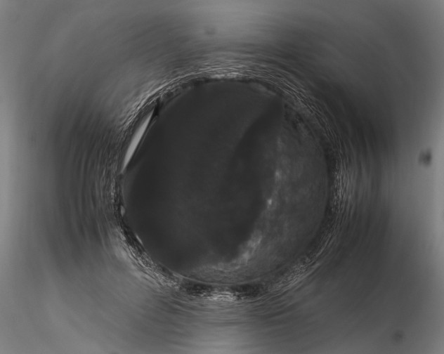 X0000116120600200912141047