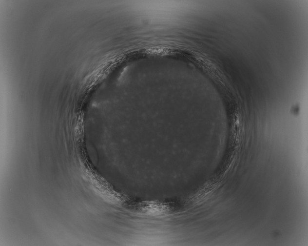 X0000116120601200912141047