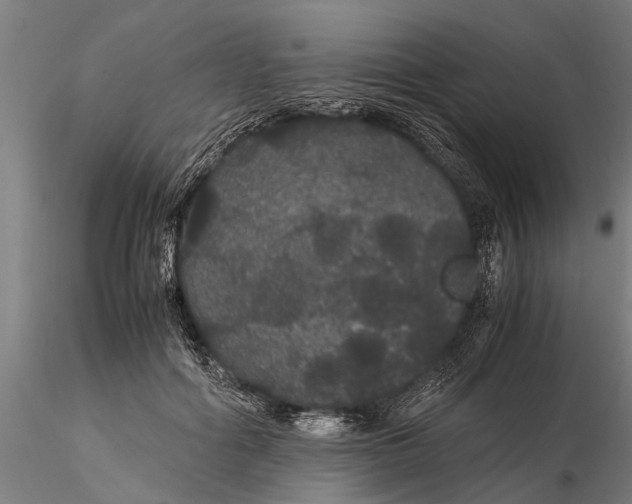 X0000116120602200912141047