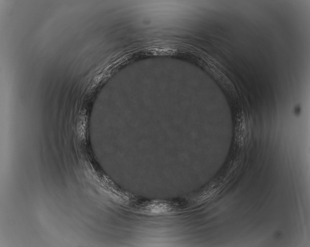 X0000116120604200912141047