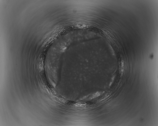 X0000116120606200912141047