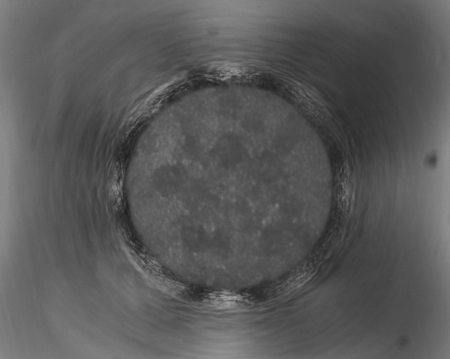 X0000116120607200912141047