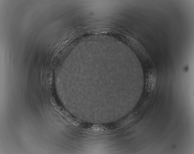 X0000116120608200912141047