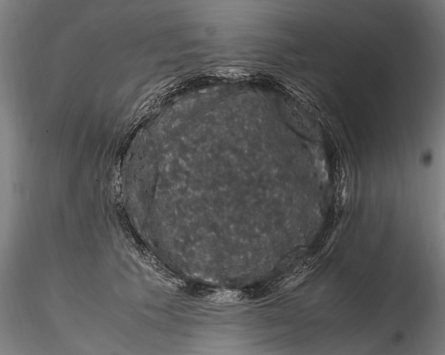 X0000116120609200912141047