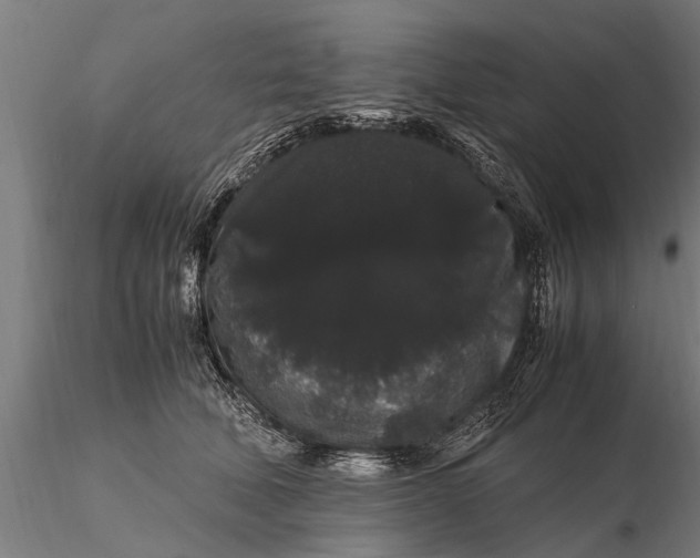 X0000116120610200912141047