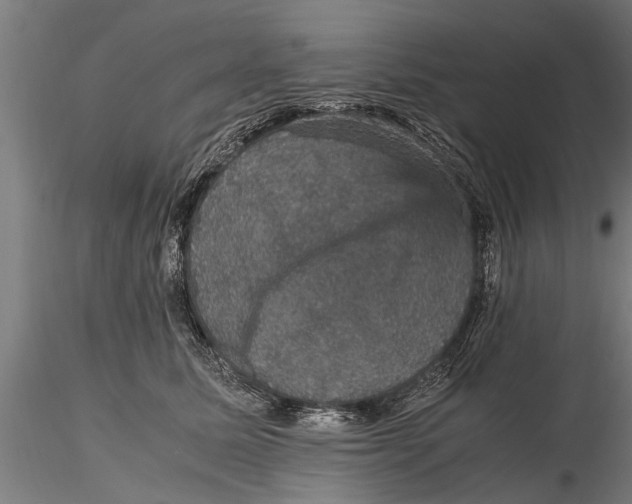 X0000116120611200912141047