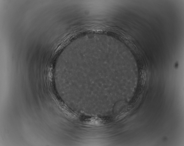 X0000116120612200912141047