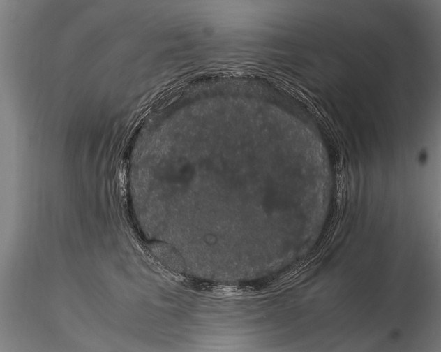 X0000116120613200912141047