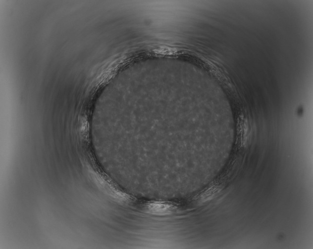 X0000116120614200912141047